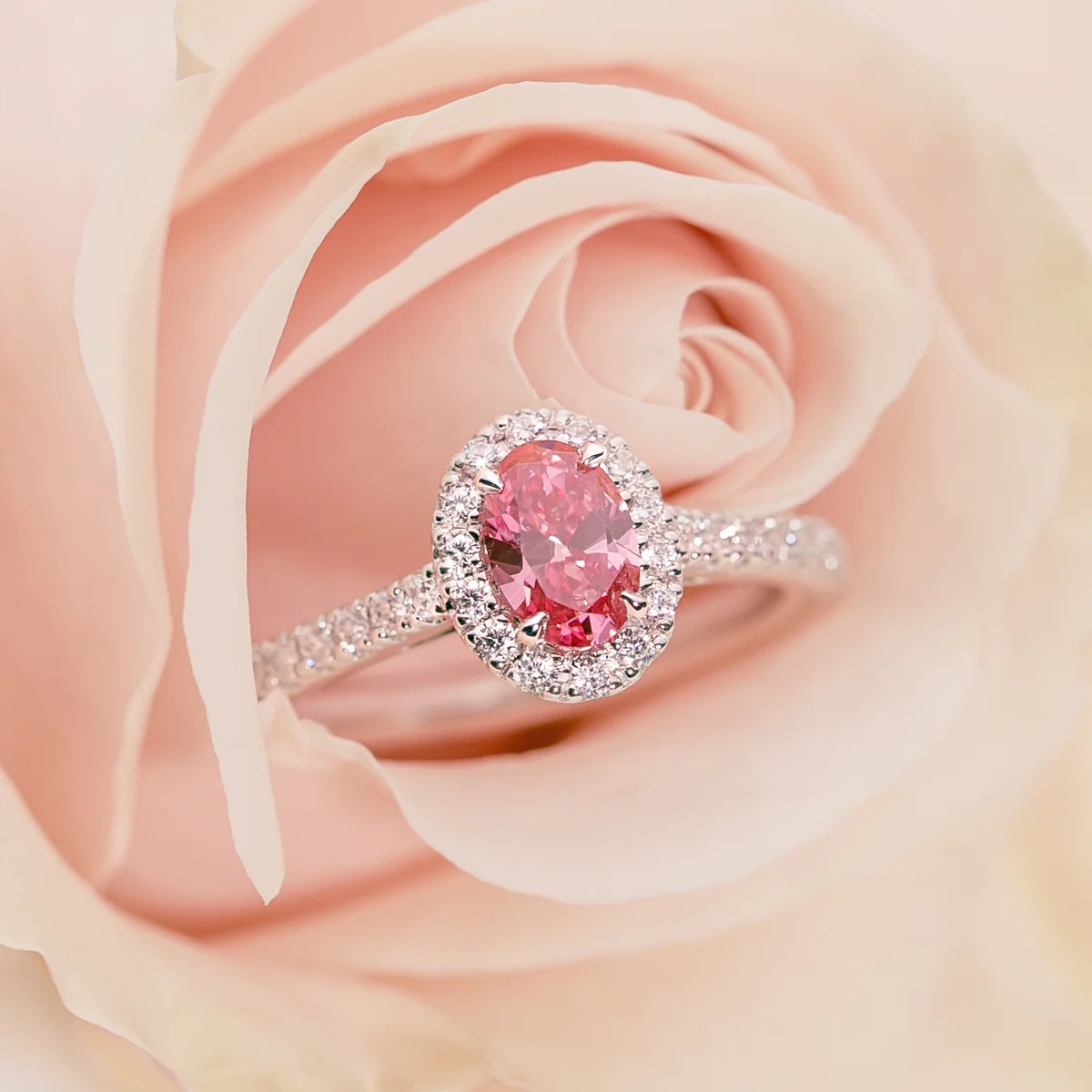 Discover Premium Jewellery Collections at London Diamond Online