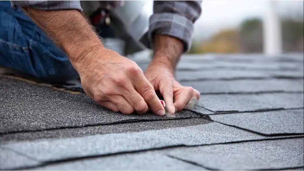 Local Roof Repair Services in South Jersey for Homes &amp; Businesses