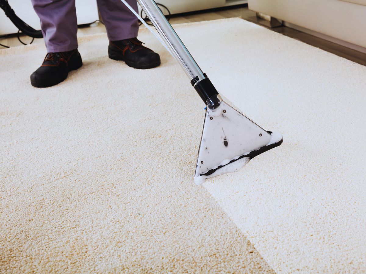 Top-Rated Experts Providing carpet cleaning hyde park austin tx