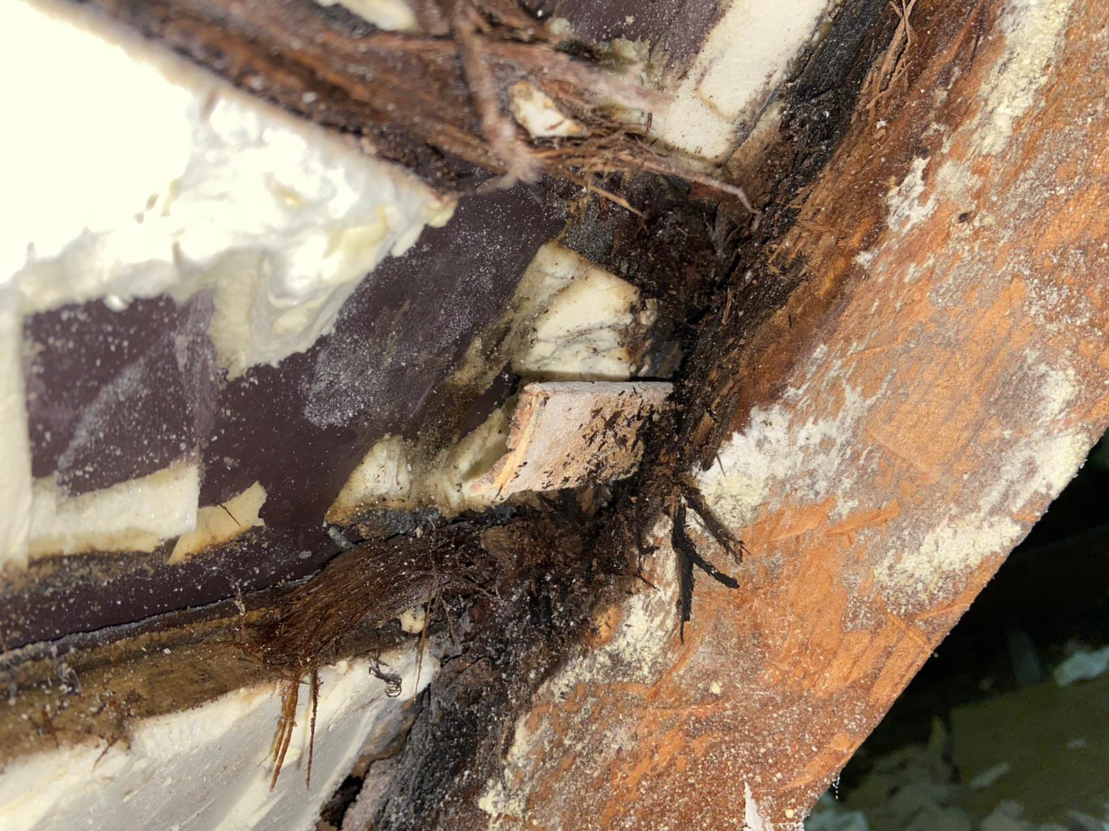Spray Foam Condensation Issues in UK Homes Explained