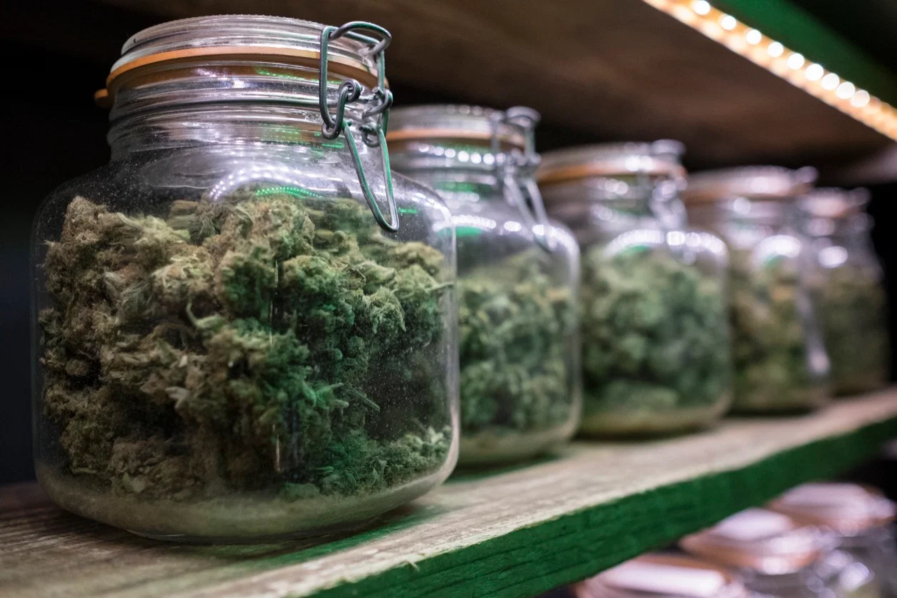 Atmosphere and Service at Cannabis Clubs Lloret de Ma