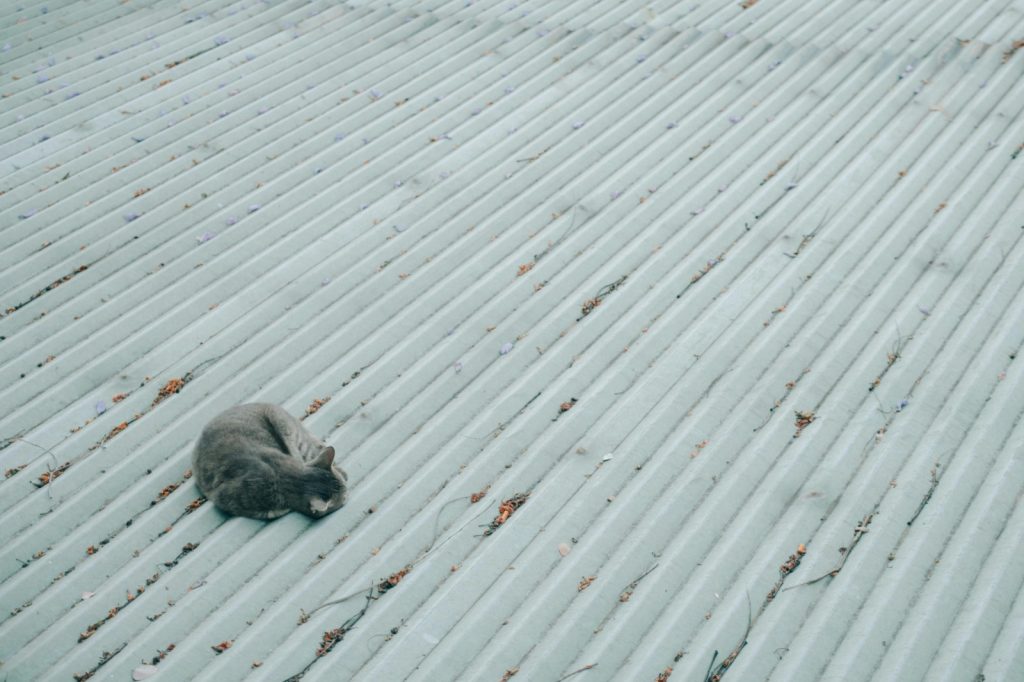 WhatsApp Image 2026-01-09 at 3.07.35 PM (1)