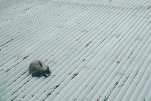 WhatsApp Image 2026-01-09 at 3.07.35 PM (1)